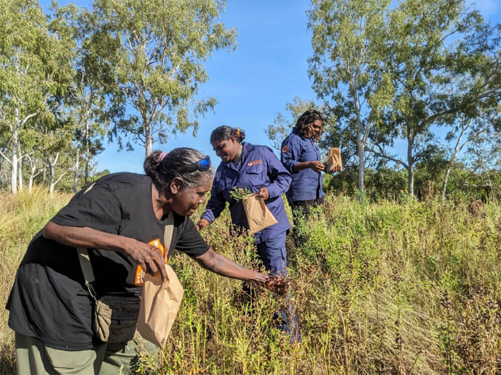 Women rangers unite for Country and community 