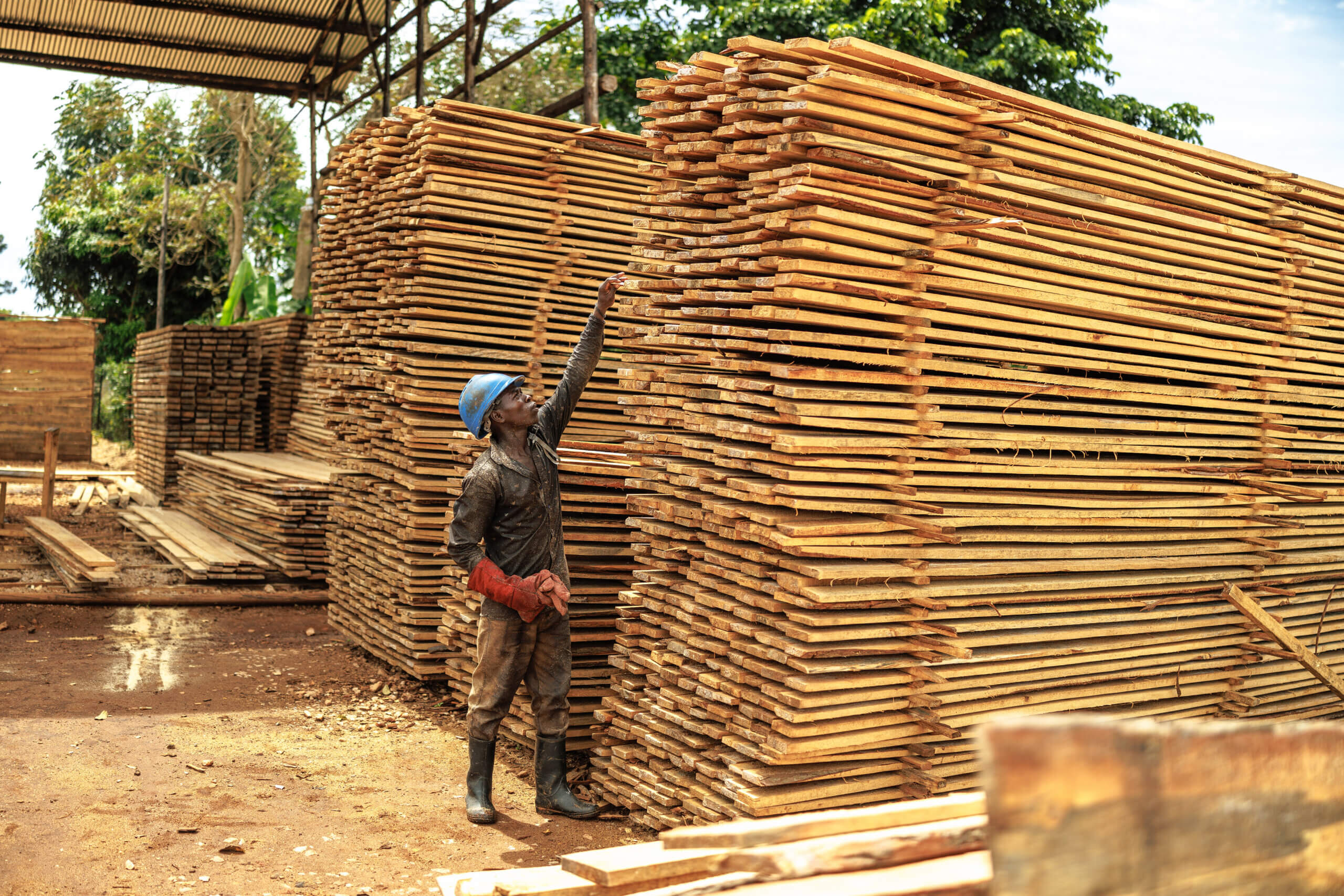 Locally sourced materials are part of efforts to build sustainable, bio-based construction supply chains in East Africa. © CPS for Gatsby Africa